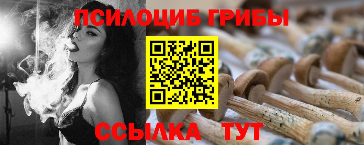Псилоцибиновые грибы Psilocybine cubensis Нововоронеж