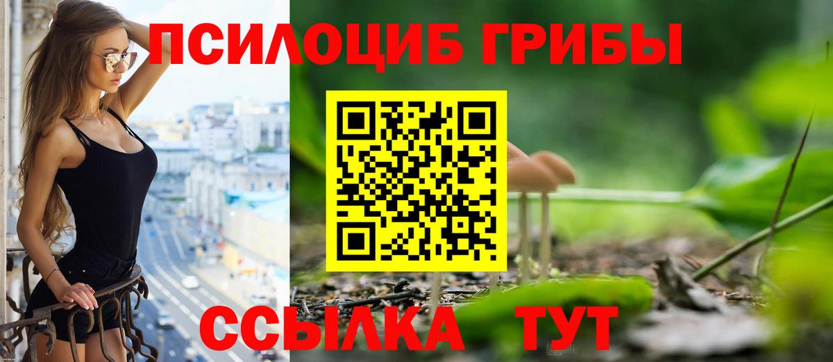 Нововоронеж  Галлюциногенные грибы Psilocybe  купить наркотик  Вход с VPN 